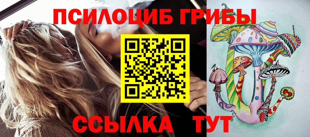 Псилоцибиновые грибы Psilocybe  Псилоцибиновые грибы GOLDEN TEACHER  где можно купить наркотик  Алексин  Вход с VPN 